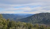 Excursión Senderismo Signes - Plateau de la Limate en partant de Siou Blanc - Photo 18