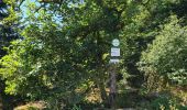 Trail Walking Le Syndicat - depuis Nol balcon de Solem - Photo 3