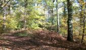Trail Walking Orival - 20221117-Les Essarts  - Photo 20