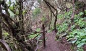 Tocht Stappen Valverde - Valverde - Garoé - Ventejis (El Hierro) - Photo 19