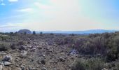 Excursión Senderismo Aubagne - Garlaban et Taoumé - Photo 1