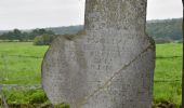 Trail Walking Verviers - 20210901 - Lambermont 6.5 Km - Photo 10