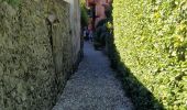Trail Walking Bellagio - Circuit Bellagio San Giovanni - Photo 4