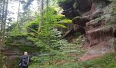 Trail Walking Allarmont - Balades féeriques des roches  - Photo 6