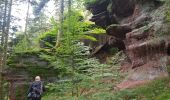 Trail Walking Allarmont - Balades féeriques des roches  - Photo 6