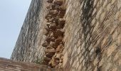 Trail Walking Salses-le-Château - citadelle de Salse  - Photo 9