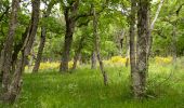 Excursión Senderismo Saint-Julien-en-Quint - Bec Pointu - Les Glovins - St-Julien-en-Quint - Photo 10