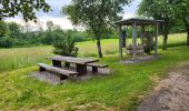 Tocht Stappen Blumberg - Cascade Schleifenbach et gorges de Wutach - Photo 15