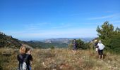 Trail Walking Plan-d'Aups-Sainte-Baume - Tour Cauvin, Dent de Roque Forcade, grotte de la Grande Baume - Photo 9