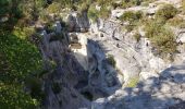 Tour Wandern Trigance - LE pont du Sautet,de Carajuan et le belvédère des vautours - Photo 2