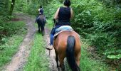 Trail Horseback riding Brouville - Brouville grammont fred Nadine Tivio  - Photo 1