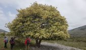 Trail Walking Courmes - ST BARNABE - Photo 3