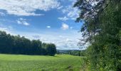 Trail Walking Burg-Reuland - Gruffligen - Photo 1