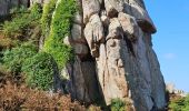Trail Walking Plougrescant - 2023 RA Bretagne costarmoricaine Plougrescant - Trévou - Photo 7