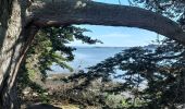 Trail Walking Sarzeau - PR_56_Sarzeau_GA_07_Regards-Sur-Le-Golfe_Circuit1b_20240310 - Photo 8