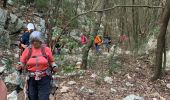 Trail Walking Le Revest-les-Eaux - Le revest les eaux - Photo 2