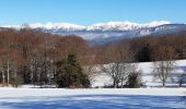 Excursión Senderismo Vassieux-en-Vercors - Forêt communale de Dié - Photo 5