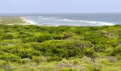 Excursión Senderismo Saint-François - Guadeloupe - Pointe des Châteaux (2024) - Photo 13