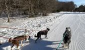 Trail Walking Stosswihr - Les 3 Fours - col de la Schlucht - Photo 12