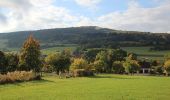 Tour Zu Fuß Hilders - Rundweg 9, Simmershausen - Photo 9