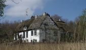 Tour Zu Fuß Ulsnis - Erholungsort Ulsnis: Rundweg Dallacker, Gunneby - Photo 5