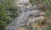 Percorso Marcia La Farlède - La farlède-plateau de Mourras-Sollies ville-La farlède - Photo 12