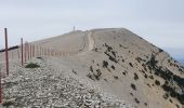 Randonnée Marche Beaumont-du-Ventoux - Mts Serein, Ventoux, tête de la Grave - Photo 5