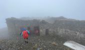 Tocht Stappen Saint-Dalmas-le-Selvage - Mercantour : Col des Fourches  - Photo 16