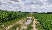 Tour Wandern Chaumont-Gistoux - Sur les traces de la préhistoire  - Photo 7