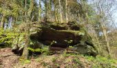 Randonnée Marche Lemberg - Lemberg - cascade des Ondines - sentiers des grottes et des étangs - Photo 2