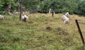 Trail Walking Valorbiquet - St Cyr du Ronceray - St Julien de Mailloc - La Chapelle Yvon  - Photo 2