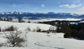 Tour Schneeschuhwandern Engins - lans 2 - Photo 2