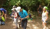 Trail Walking La Couvertoirade - Larzac 2 - Photo 12