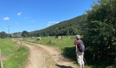 Trail Walking Saint Vith - Lommersweiler version longue 2023 - Photo 9