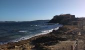 Excursión Cicloturismo Solliès-Pont - Presqu'île de Giens  - Photo 1