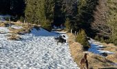 Tour Wandern Xonrupt-Longemer - Riche de Belle-vue - Photo 8