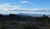 Excursión Senderismo Vernègues - PF-Vernègues - Camp Caïn - Campanes - Le Grand Puech - Photo 10