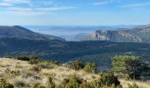 Tour Wandern Coursegoules - Coursegoules <-> Gréolières les Neiges - Photo 5
