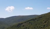 Trail Walking Val-d'Aigoual - Mont Aigoual - Cabrillac - Photo 11