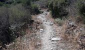 Trail Walking Cadaqués - Gr92-04 - Photo 8