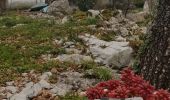 Randonnée Marche Berrias-et-Casteljau - Chassezac cirque du Casteljau - Photo 17