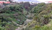 Randonnée A pied San Cristóbal de La Laguna - Camino de Candelaria de Tegueste - Photo 3