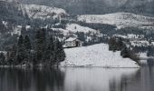 Tour Zu Fuß Unknown - Barajul Colibița-Tăul Zânelor - Photo 6