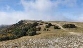 Trail Walking Cabrières-d'Aigues - le Mourre Nègre - Photo 11