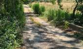Tour Quad Villeneuve-de-la-Raho - Villeneuve-de-la-Raho-Collioure(Juillet-Aout) - Photo 8