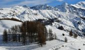 Trail Snowshoes Orcières - Orcières - Forest les Marches - Photo 3