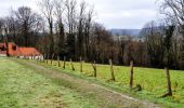 Tour Wandern Ellezelles - Ellezelles - Photo 4