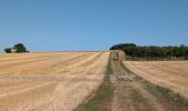 Tour Wandern Brizay - Brizay - la Neuptière Cléré Crèze PM - 11km 140m 2h15 - 2024 07 28 - Photo 2