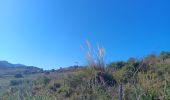 Trail Walking Port-Vendres - paullile - Cap bear via la mer retour via les vignes  - Photo 6