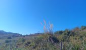 Tocht Stappen Port-Vendres - paullile - Cap bear via la mer retour via les vignes  - Photo 6